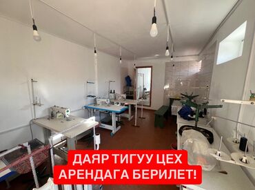 гатовый бизнес: Даяр тигүү цех арендага берилет дареги: ак-ордо конушу, курсант көч