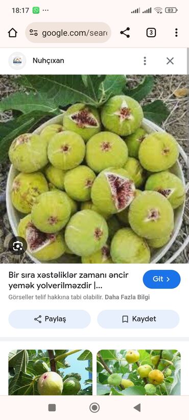 rafinə olunmamış zeytun yağı: Orkide, 0,75 l