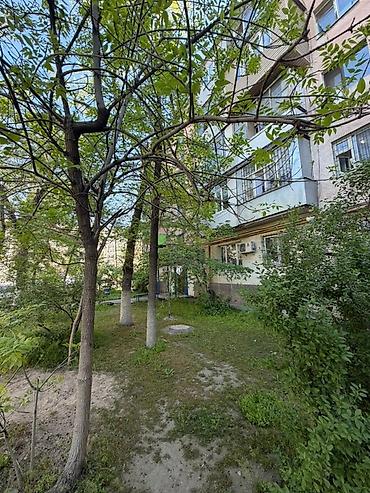Продажа квартир: 2 комнаты, 46 м², Индивидуалка, 4 этаж, Евроремонт — 13