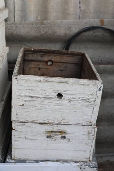 Товары и оборудование для с/х животных: Ульи около 45 комплектов. Рутовская система, корпусные, пригодны для — 6