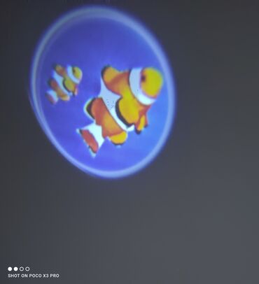 Ostalo: Projektor lampa za decu Nadam se da vam je po slikama sve jasno Cena — 6