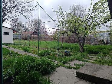 сокулуе: Продаётся дом!!! с. Сокулук, ул. Фрунзе. Подробности читайте ниже; — 7