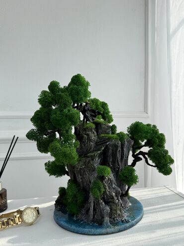 Декоративные цветы: В переводе с японского Бонсай означает «дерево, выращенное в блюде» at lalafo.kg — 43 Декоративные цветы: В переводе с японского Бонсай означает «дерево, выращенное в блюде» — 43