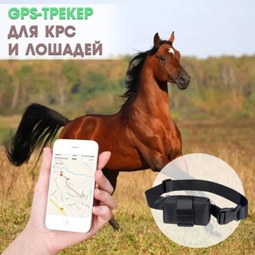 установка gps на авто: GPS для лошадей new