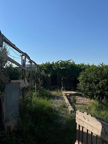 Недвижимость: Bağ sahəsi və yardımçı tikili - Üzüm tağları ilə örtülü, yaşıllıqla — 4