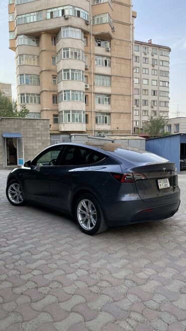 Tesla: Tesla Model Y: 2023 г., Автомат, Электромобиль, Кроссовер — 3