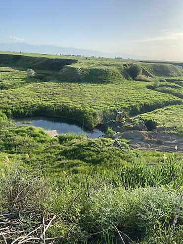 Услуги экскаватора: Экскаватор | Планировка участка, Выкорчевывание пней, Водопровод at lalafo.kg — 2 Услуги экскаватора: Экскаватор | Планировка участка, Выкорчевывание пней, Водопровод — 2