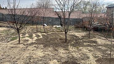 Həyət evi alıram: 103 kv. m, 2 otaqlı — 36