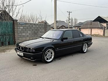 BMW: BMW 5 series: 1994 г., 2.5 л, Механика — 7