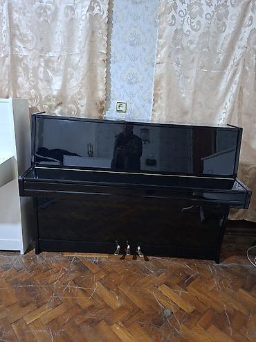 İdman və hobbi: Piano, Petrof, Akustik, Yeni, Pulsuz çatdırılma — 2