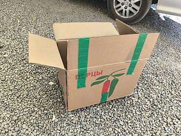 Ящики: Ящик — 5