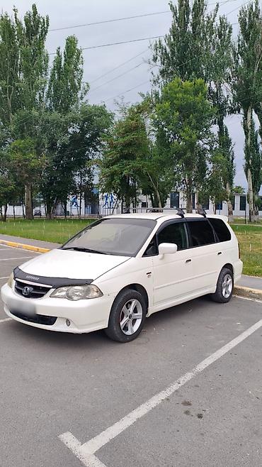мото ролик: Honda Odyssey: 2002 г., 3 л, Автомат, Бензин, Минивэн — 2