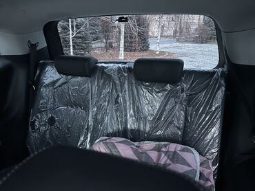 Kia: Kia Mohave: 2020 г., 3 л, Автомат, Дизель, Внедорожник — 13