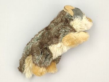 Mascot Dog, condition - Perfect