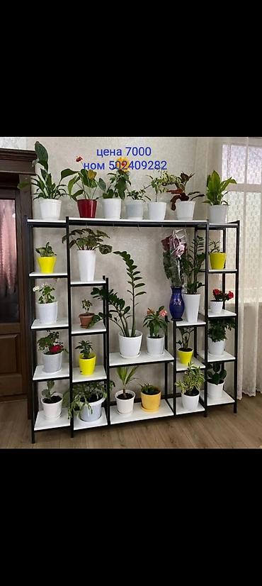 свето лампочка: Этажерки/стойки для комнатных растений - Многоярусные подставки для — 3