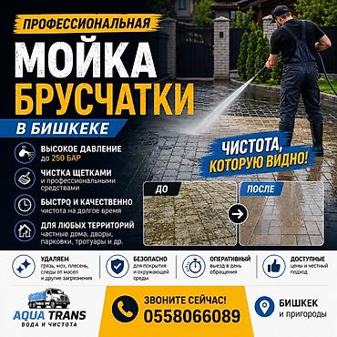 плесень: Уборка территории, Чистка брусчатки — 1