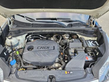 Kia: Kia Sportage: 2019 г., 1.6 л, Дизель, Кроссовер — 6