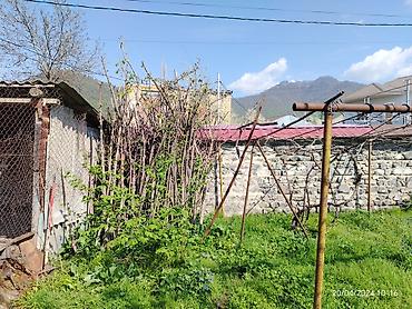 xirdalan kiraye: 3 sot, Tikinti, Mülkiyyətçi, Bələdiyyə — 5