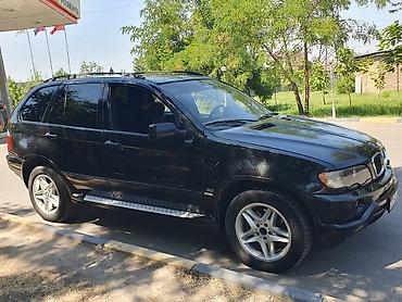 BMW: BMW X5: 2002 г., 3 л, Автомат, Дизель, Внедорожник — 3