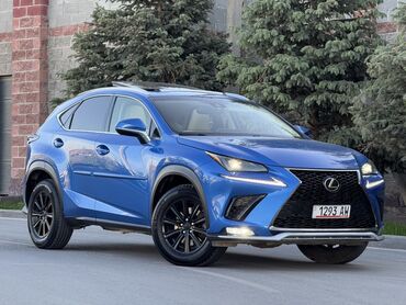 машина opel: Lexus NX: 2018 г., 2 л, Автомат, Бензин, Кроссовер