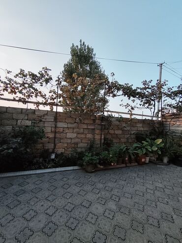 Həyət evləri və villaların satışı: Biləcəri 5 otaqlı, 120 kv. m, Kredit yoxdur, Orta təmir -da lalafo.az — 1 Həyət evləri və villaların satışı: Biləcəri 5 otaqlı, 120 kv. m, Kredit yoxdur, Orta təmir — 1