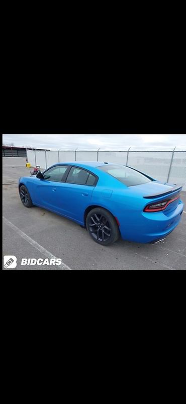 dodge challanger: Dodge Challenger: 2019 г., 3.6 л, Автомат, Бензин, Седан — 9