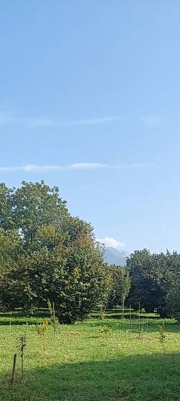 xacmazda torpaq: Torpaq satılır Qəbələdə, Daşca kəndində! 🏞️ Təbii gözəlliklərlə