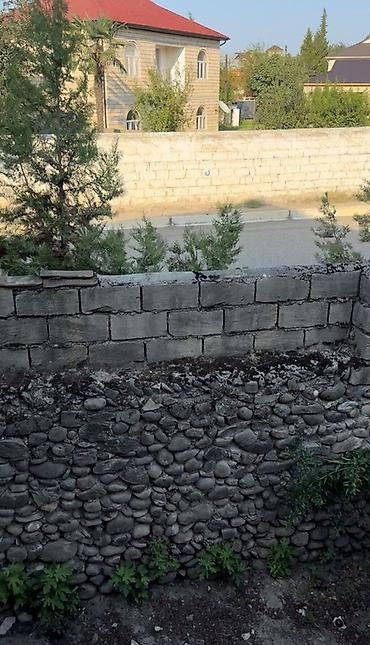 Həyət evləri və villalar: MASALLI RAYONU BORADIGAH SENTERDE TRASA YAXIN OBYEKTE YARARLI 3 sot — 5