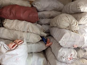 Босоножки, сандалии, шлепанцы: Набор сланцев и шлёпанцев разных моделей и расцветок. - Классические — 10