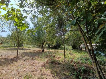 Torpaq sahələrinin satışı: 22 sot, Kənd təsərrüfatı, Mülkiyyətçi, Kupça (Çıxarış) — 9