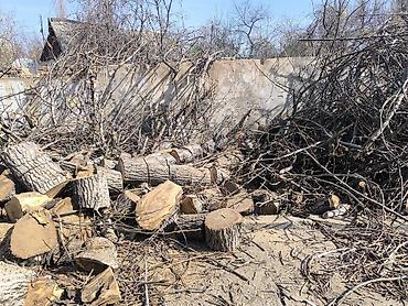 Дрова: Дрова Орех, Самовывоз — 1