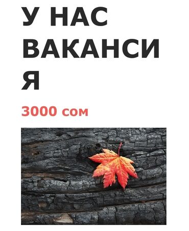 уборщица не полный день: Онлайн работа для всех желающих 
 Занимает пару часов в день