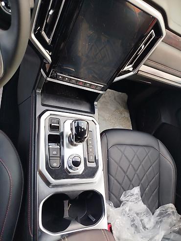 JAC: JAC : 2024 г., Дизель, Пикап — 14