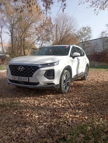 Hyundai: Hyundai Santa Fe: 2019 г., 2.2 л, Автомат, Дизель, Кроссовер — 9