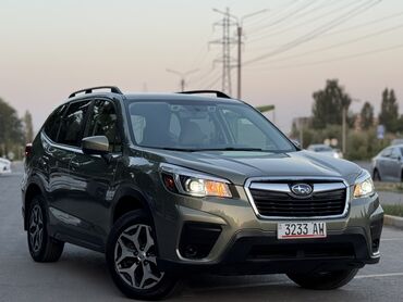 субару форестер 2018: Subaru Forester: 2019 г., 2.5 л, Вариатор, Бензин, Кроссовер