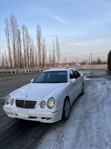 авто мерседес бенс: Mercedes-Benz E-Class: 1999 г., 3.2 л, Автомат, Бензин, Седан