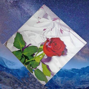картина роза: Картина, размер 60 см х 60 см - новая, толщина основы 9 мм