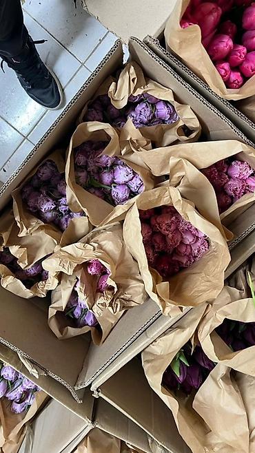 Букеты из живых цветов: Тюльпаны в букете-миксе - Срезанные тюльпаны в крафт-упаковке — 8