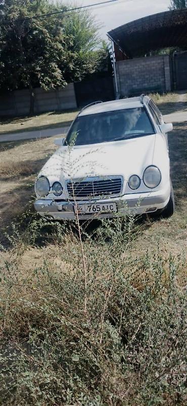 продажа майбах: Mercedes-Benz E-Class: 1999 г., 2.9 л, Автомат, Бензин, Универсал — 3