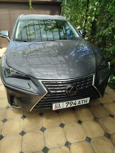 электромобиль neta: Lexus NX: 2019 г., 2 л, Автомат, Бензин, Кроссовер