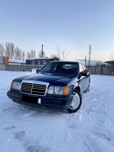 Mercedes-Benz: Mercedes-Benz W124: 1991 г., 2.5 л, Механика, Дизель, Седан