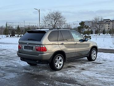 BMW: BMW X5: 2004 г., 3 л, Автомат, Бензин, Кроссовер — 6