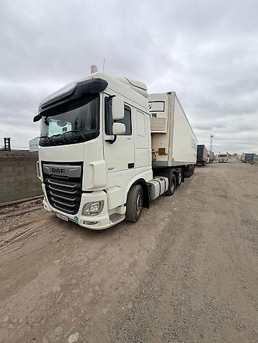 daf 2019: Тягач, DAF, 2020 г., Изотермический — 2