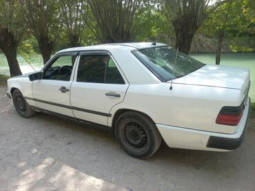 mercedesbenz milenium: Mercedes-Benz 230: 1987 г., 2.3 л, Механика, Бензин, Хэтчбэк