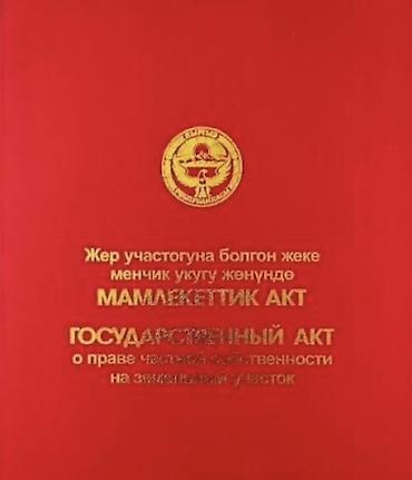 гск ак жол в 7 мкр: 15 соток, Красная книга — 1