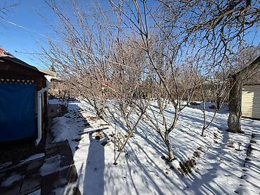 Продажа дач: Продаётся дача в селе Койташ Участок 4,5 сотки в живописном месте — at lalafo.kg — 12 Продажа дач: Продаётся дача в селе Койташ Участок 4,5 сотки в живописном месте — — 12