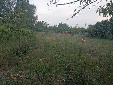 купить квартиру с видом на море: 15 sot, Kupça (Çıxarış)