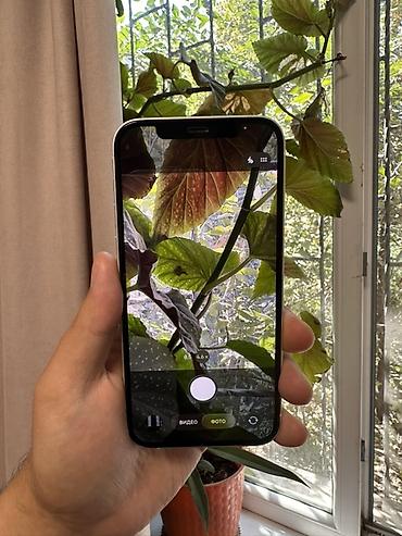 Apple iPhone: Срочно продаю свой айфон IPhone 64гб белый камера АКБ Фэйс айди трутон — 14