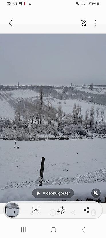 kiraye ile satilan evler: 7 sot, Tikinti, Mülkiyyətçi, Kupça (Çıxarış) — 6