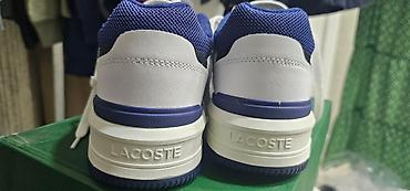 lacoste кроссовки: Мужские кроссовки, 43, Lacoste, Новый, цвет - Белый, Самовывоз, Платная доставка — 4
